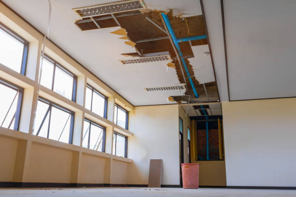 Best Emergency water damage restoration  in Dogtown, CA