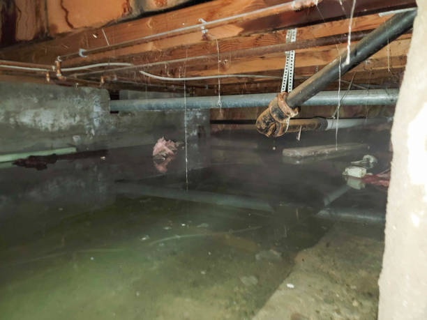 Professional Water damage restoration in Dogtown, CA
