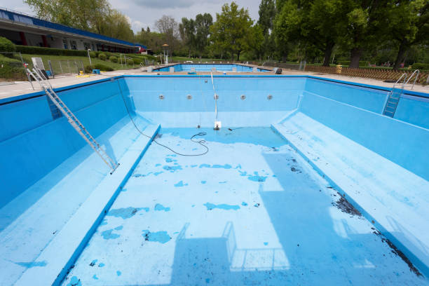 Best Water damage cleanup near me  in Dogtown, CA