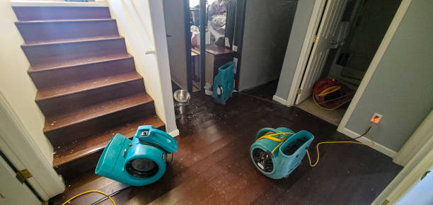 Best Local water damage restoration  in Dogtown, CA
