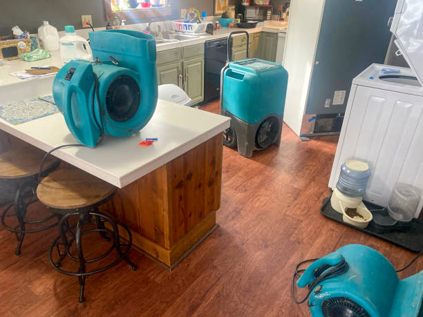Best Emergency water damage restoration  in Dogtown, CA