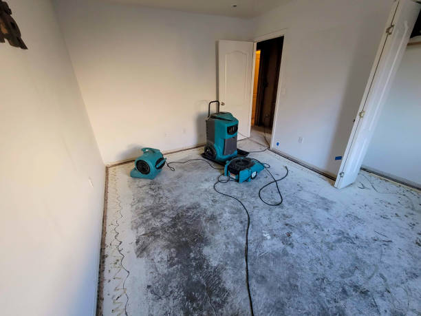 Best Flood damage cleanup  in Dogtown, CA