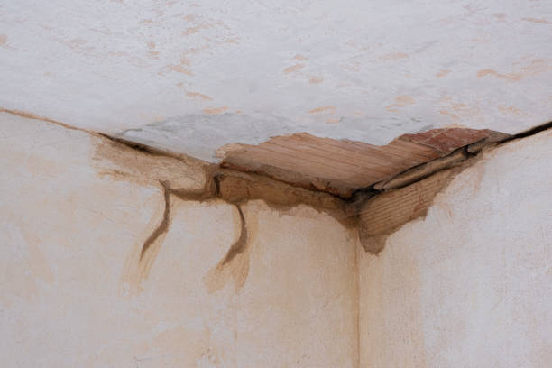 Best Commercial water damage restoration  in Dogtown, CA