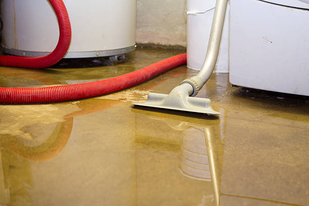 Best Local water damage restoration  in Dogtown, CA