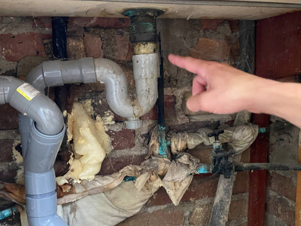 Best Emergency water extraction  in Dogtown, CA