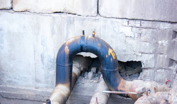 Best 24/7 water damage repair  in Dogtown, CA